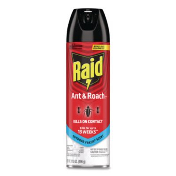 Ant And Roach Killer, 17.5 Oz Aerosol Spray, Outdoor Fresh