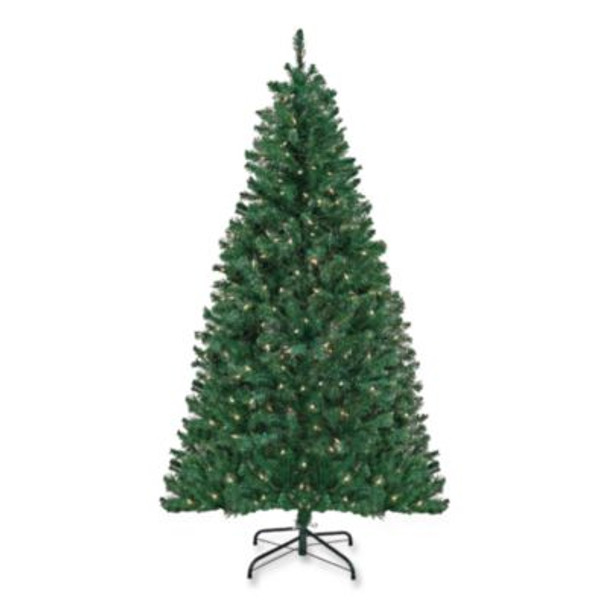 Pre-Lit Acacia Tree, 37" x 37" x 70.8", Green Tree, Green Tree Stand