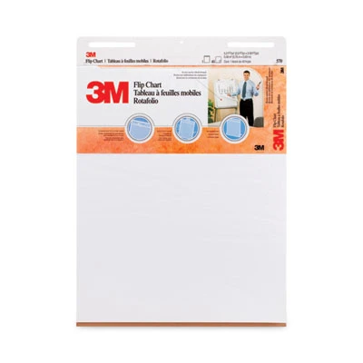Professional Flip Chart, Unruled, (40) White 25 x 30 Sheets, 2/Carton