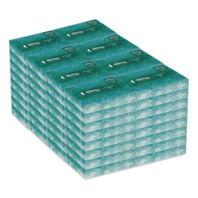 White Facial Tissue Junior Pack, 2-Ply, 48 Sheets/Box, 64 Boxes/Carton