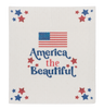Americana Reusable Dish Cloth
