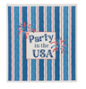 Americana Reusable Dish Cloth