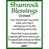 Shamrock Blessings Charm