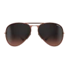Rose Gold Wesley OTG Sunglasses