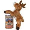 Stuffed Wyoming Deer