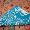 Turquoise & White Paisley Arrowhead Bandana