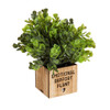 LED Artificial Plant in Wood Box Collection