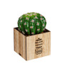 LED Artificial Plant in Wood Box Collection