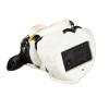 Solar Cow With Glasses