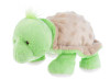 Turtle with Rattle