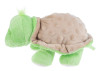 Turtle with Rattle
