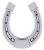 The Lucky Little Horseshoe Charm
