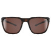 Tortoise Brown Adams Sunglasses