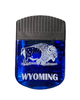 Wyoming Magnetic Chip Clip