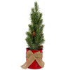 Frosted Upswept Mini Pine Christmas Tree in Red Tin Pot