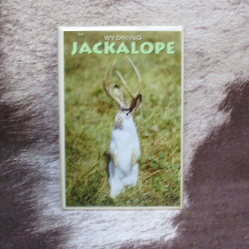 Jackalope Magnet