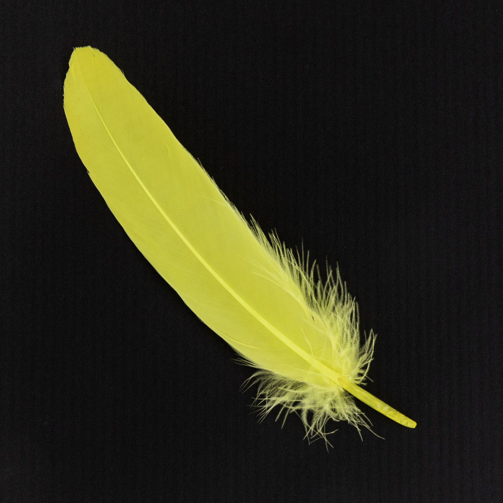 Yellow Feather-Suicide Awareness