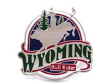 Bull Rider Pin