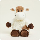 Brown & White Cow