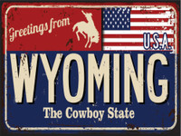 Wyoming / USA Magnet