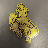 Bronc Shimmer Magnet