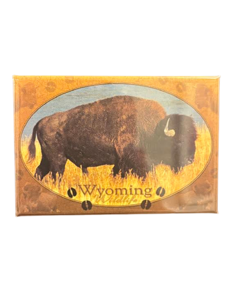 Wyoming Bison Magnet