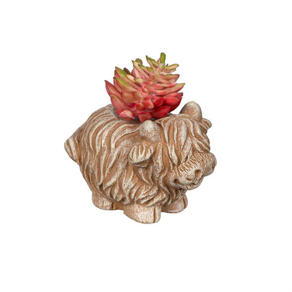 Highland Cow Faux Succulent Table Decor