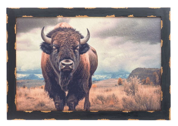 Distressed Frame Bison Wall Decor