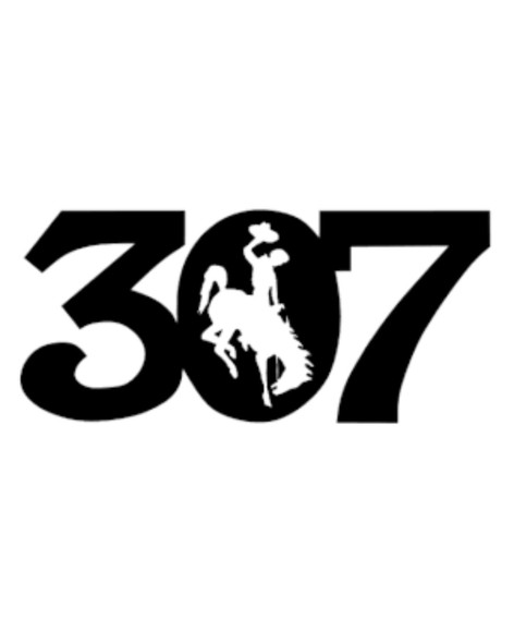 Black "6 307 Decal