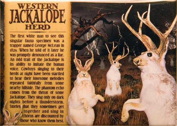 Jackalope Herd Magnet