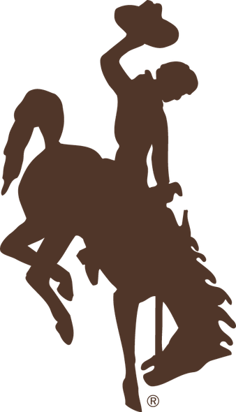 Brown 12" Wyoming Steamboat Decal