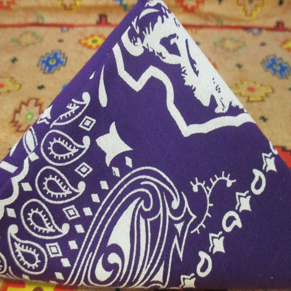 Purple & White Paisley Arrowhead Bandana