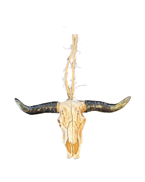 Steer Skull Ornament