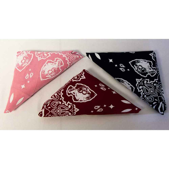 CFD Navy and White Paisley Bandanna