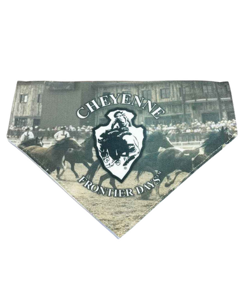 Large Pet Scarf