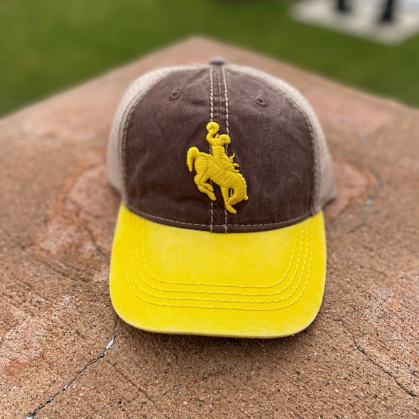 Brown & Gold Mesh Back Cap