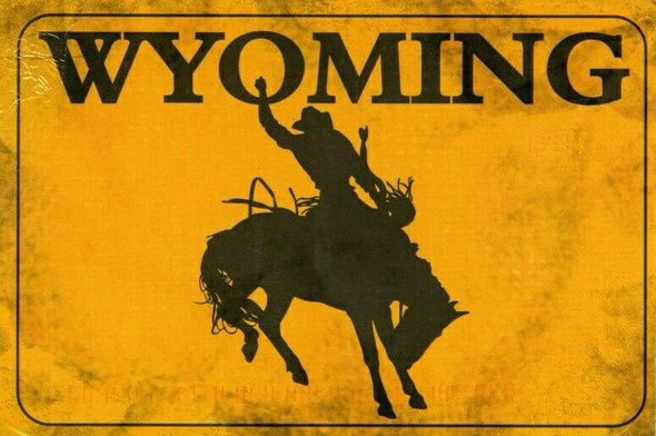 Wyoming Bronc Magnet