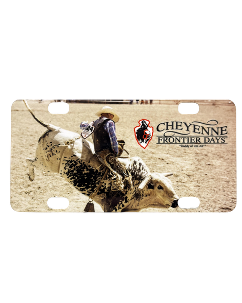 Small Souvenir License Plate