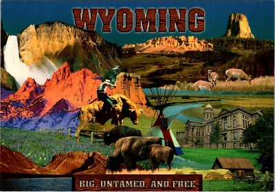 Wyoming Big, Untamed and Free Magnet