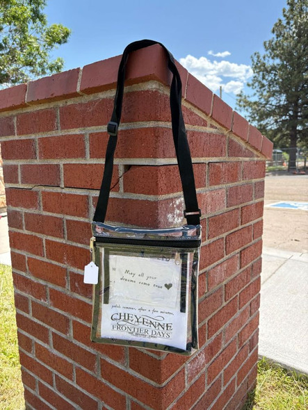 Clear Cheyenne Purse
