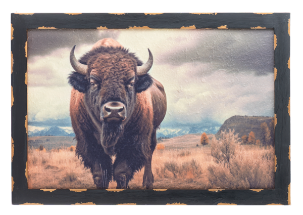 Distressed Frame Bison Wall Decor