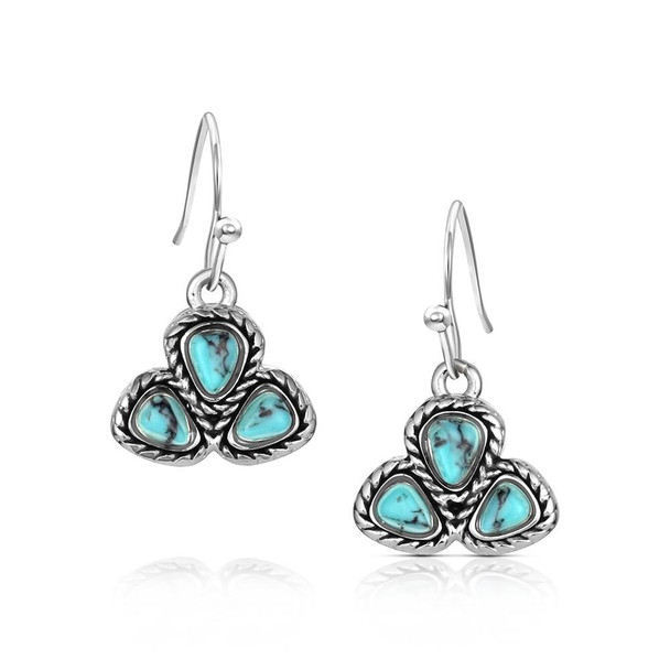Dakota Skies Turquoise Earrings