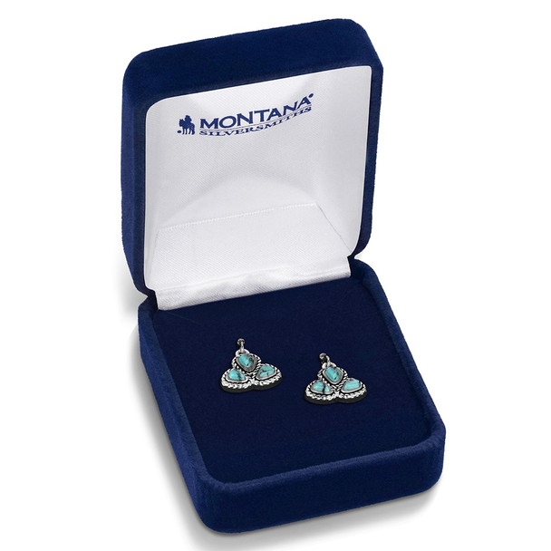Dakota Skies Turquoise Earrings