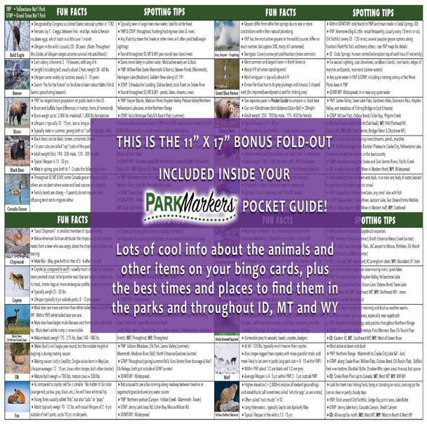 Travel Wildlife & Adventure Bingo