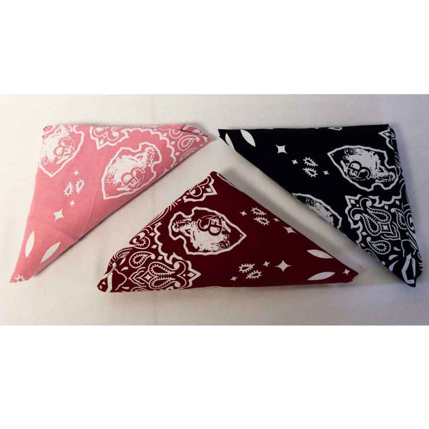 CFD Red and White Paisley Bandanna