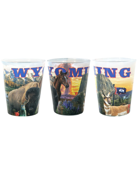 Wyoming Collage Shot Glass