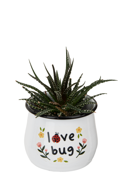 Ladybug Metal Planter