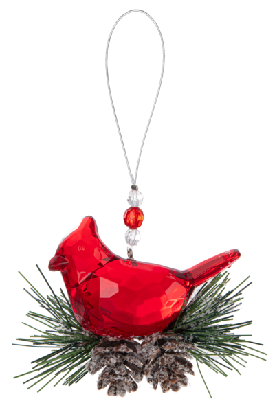 Winter Pine Cardinal