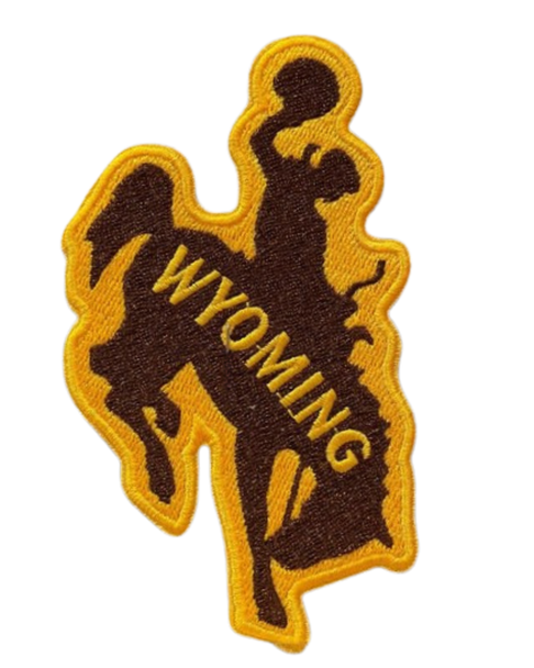 Large Wyoming Steamboat Patch