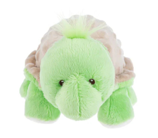Turtle with Rattle